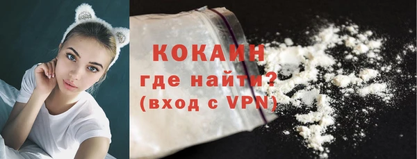 гидра Богородицк