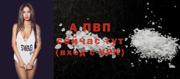 гидра Богородицк
