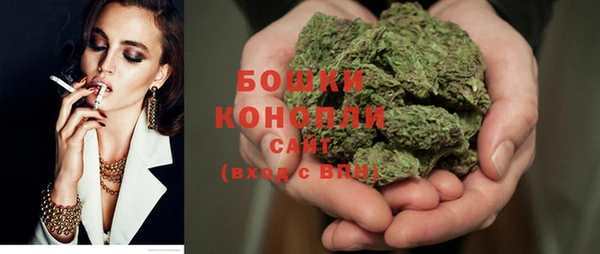 стафф Богданович