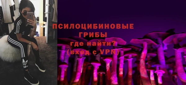 стафф Богданович