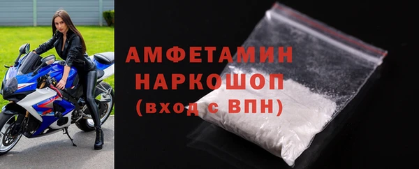 гидра Богородицк