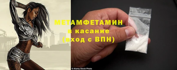 гидра Богородицк