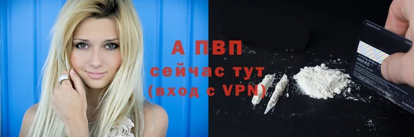 стафф Богданович