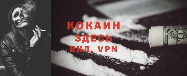 стафф Богданович