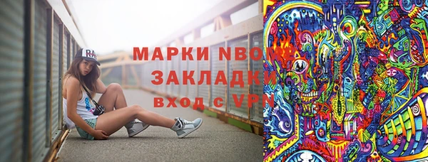 гидра Богородицк