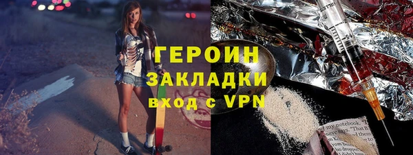 гидра Богородицк
