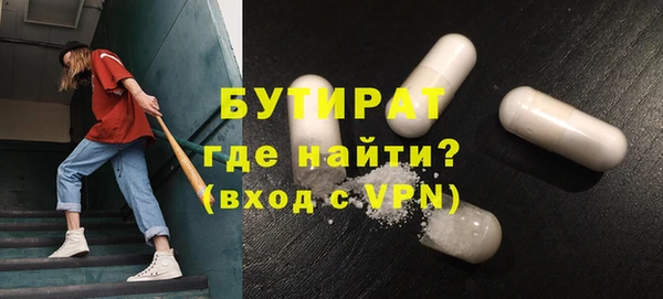 гидра Богородицк
