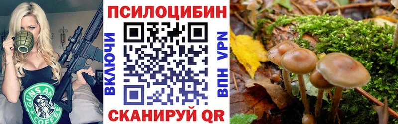 omg ССЫЛКА  Красноармейск  Псилоцибиновые грибы ЛСД 